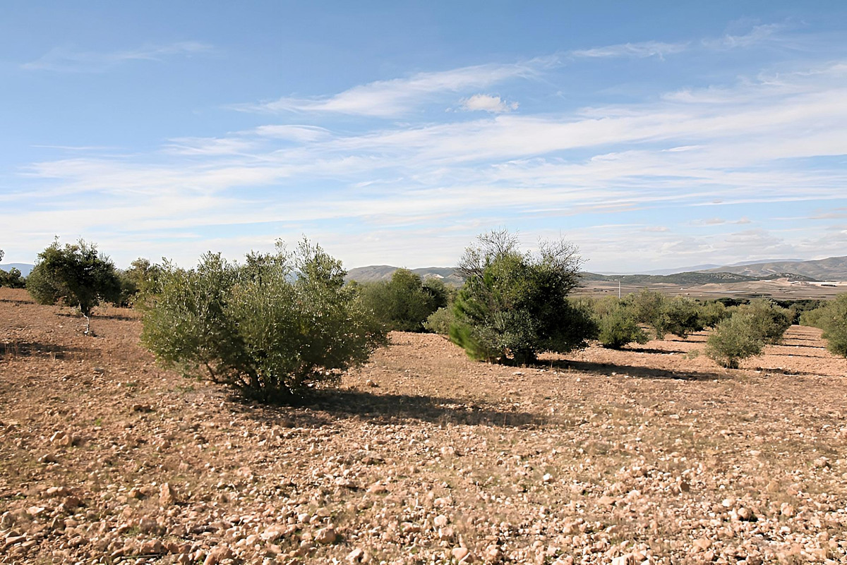 Se vende Terreno Rustico  en Costa Blanca, Alicante, España