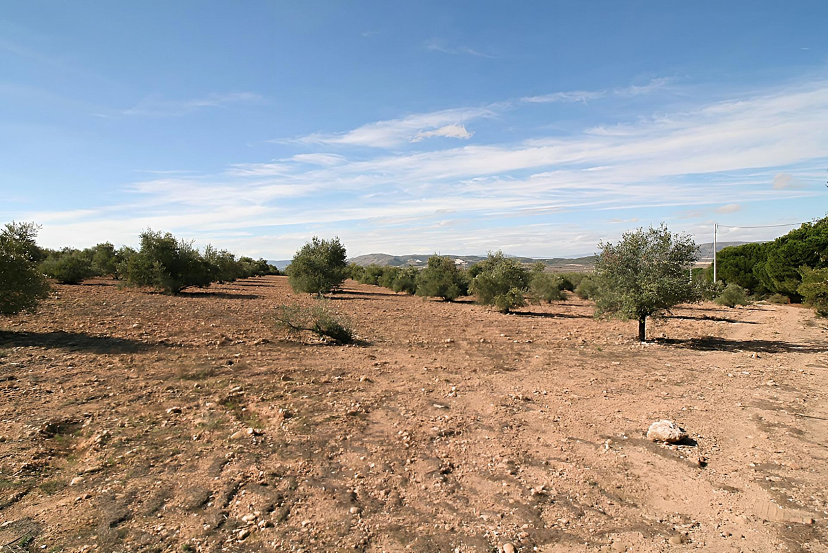 Se vende Terreno Rustico  en Costa Blanca, Alicante, España