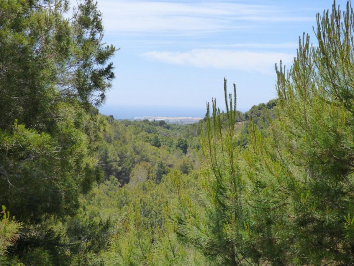 Se vende Terreno Rustico  en Costa Blanca, Alicante, España
