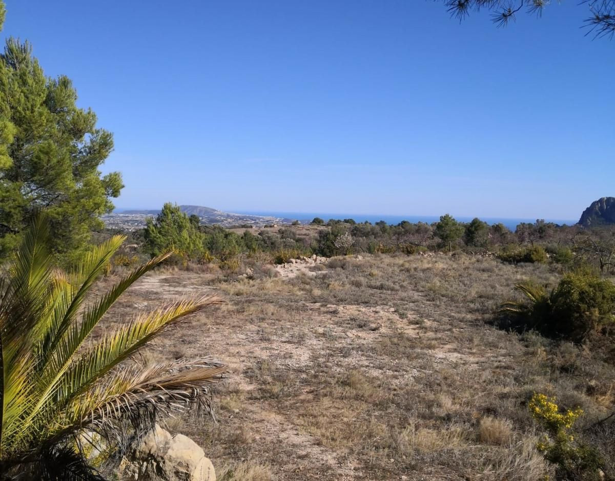 Se vende Terreno Rustico  en Costa Blanca, Alicante, España