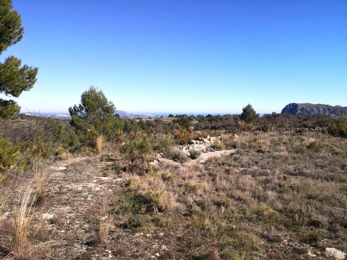 Se vende Terreno Rustico  en Costa Blanca, Alicante, España