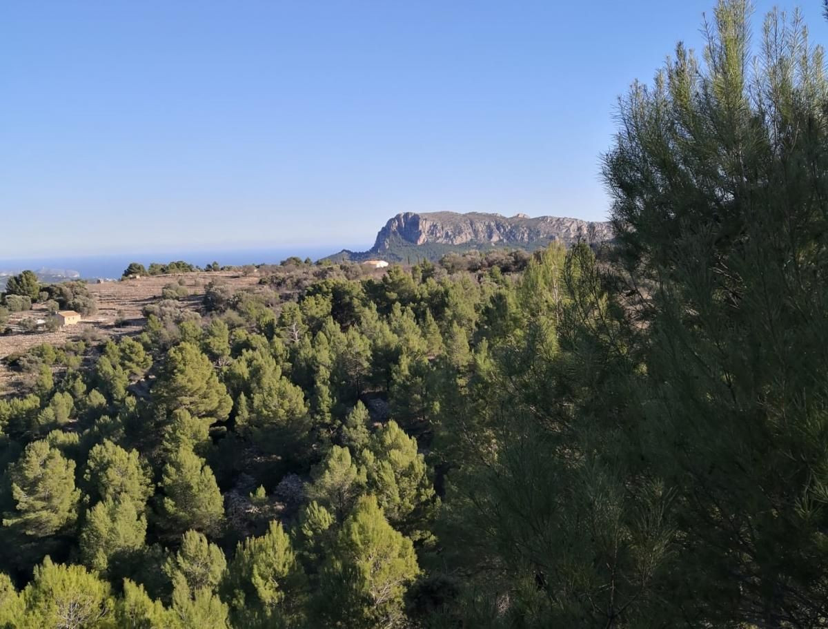 Se vende Terreno Rustico  en Costa Blanca, Alicante, España