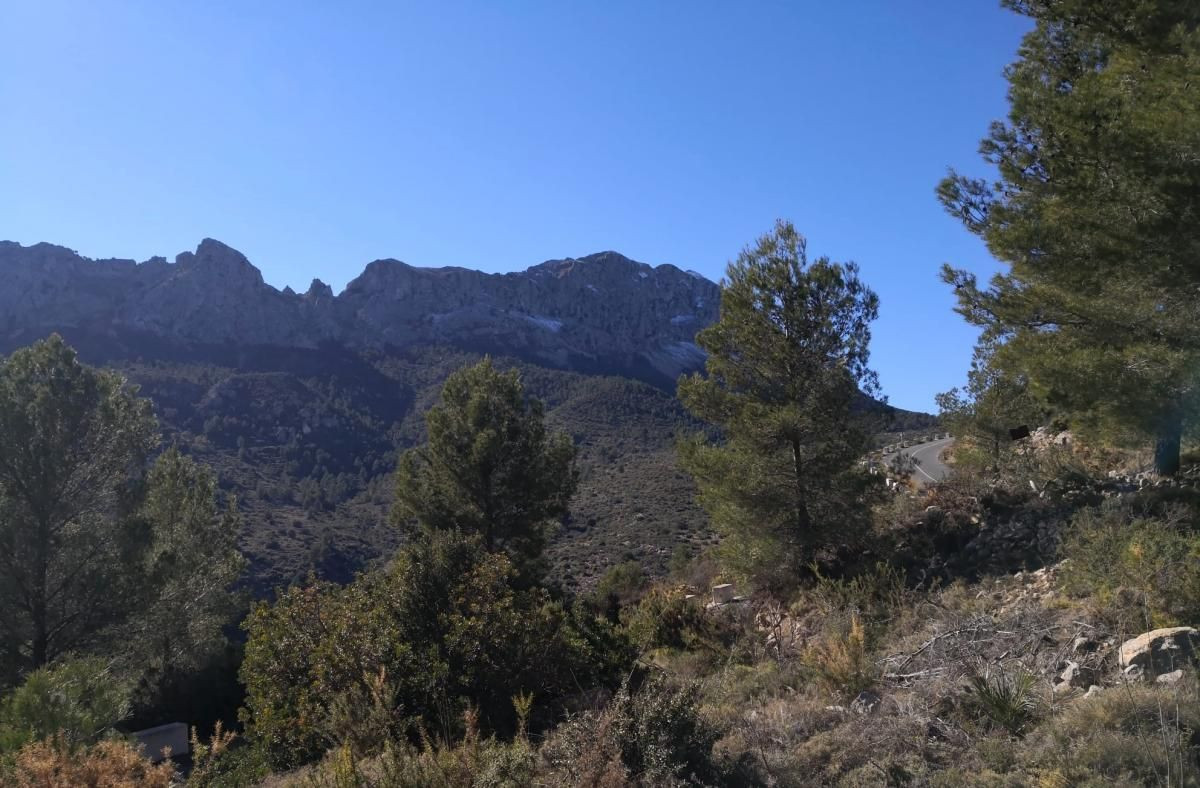 Se vende Terreno Rustico  en Costa Blanca, Alicante, España