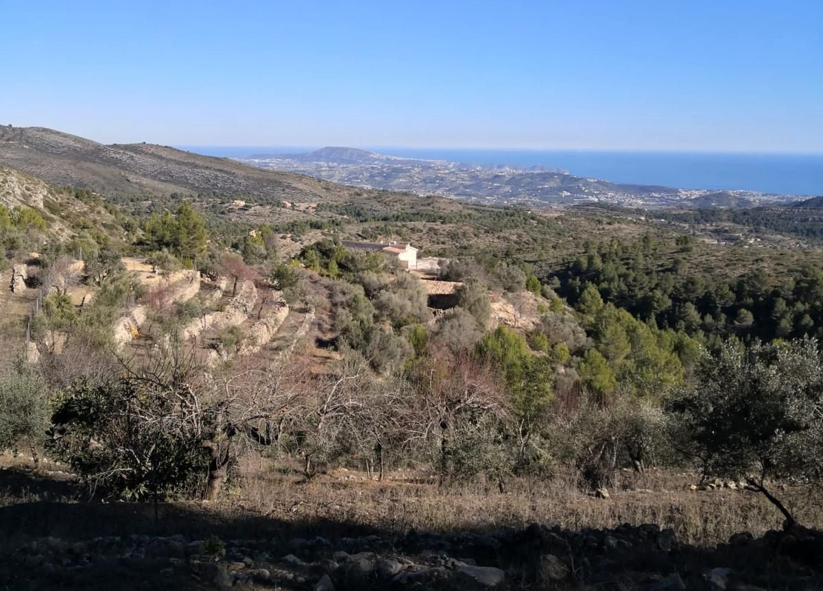 Se vende Terreno Rustico  en Costa Blanca, Alicante, España