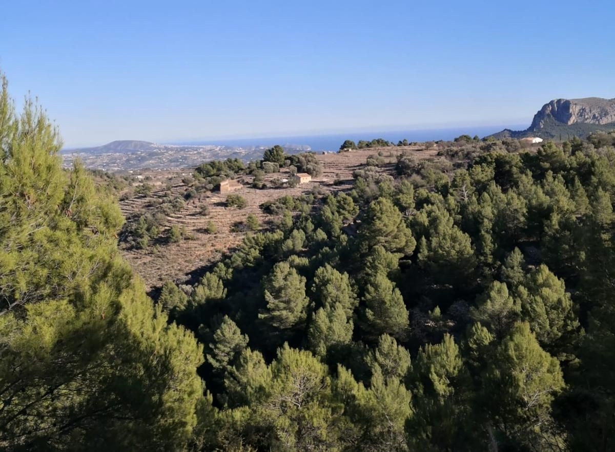 Se vende Terreno Rustico  en Costa Blanca, Alicante, España