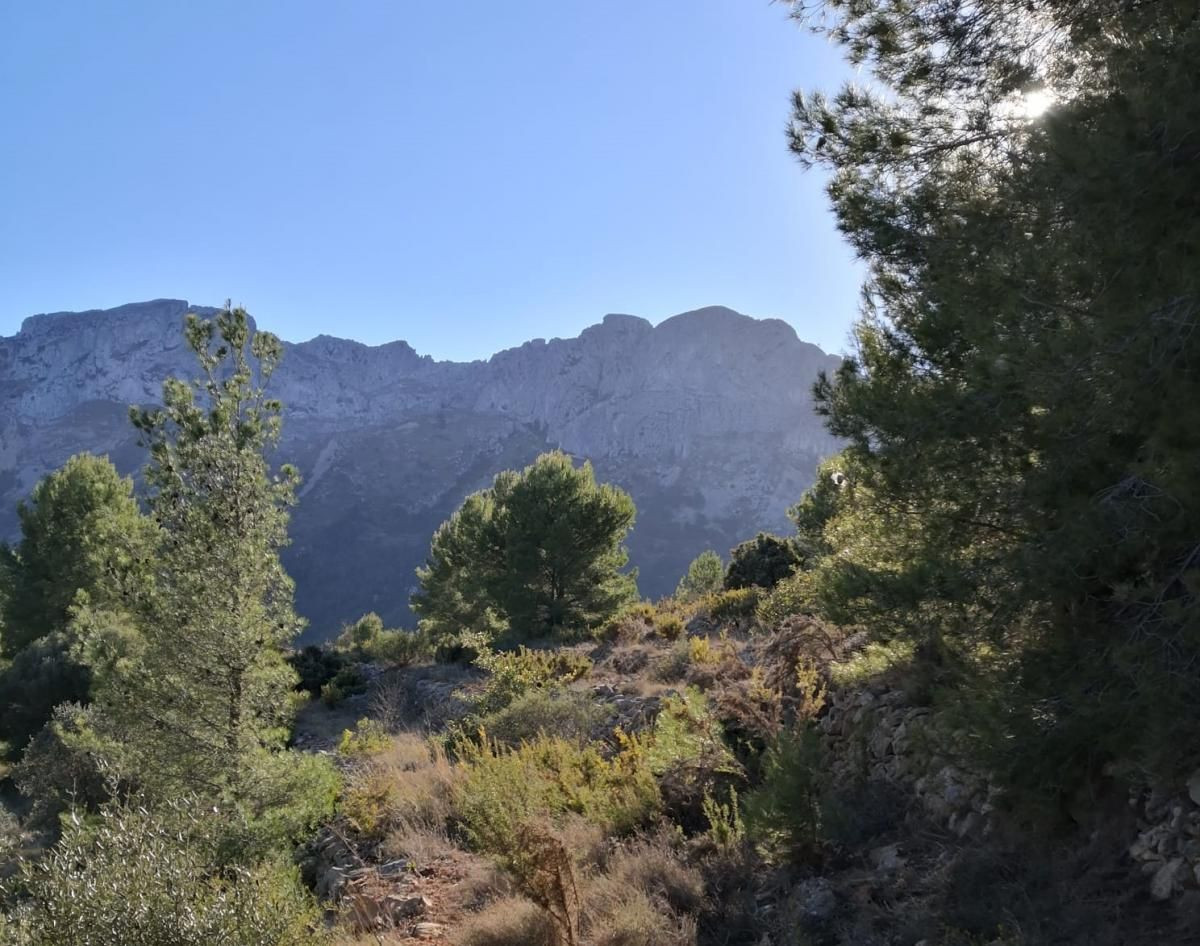 Se vende Terreno Rustico  en Costa Blanca, Alicante, España