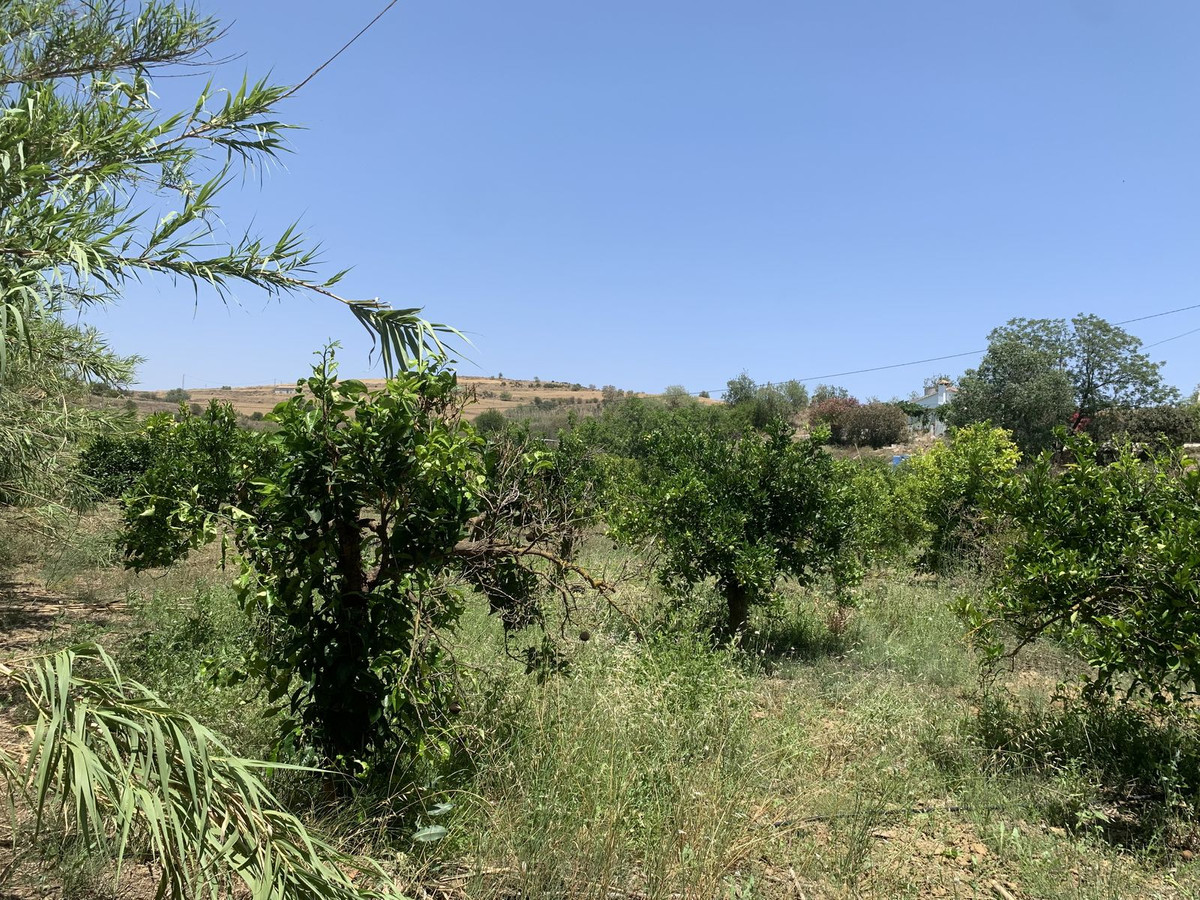 Se vende Terreno Rustico  en Costa Del Sol, Málaga, España