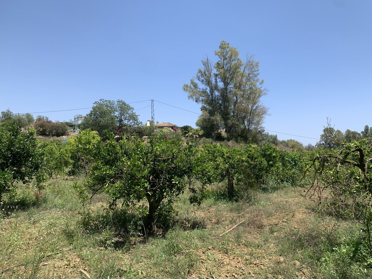 Se vende Terreno Rustico  en Costa Del Sol, Málaga, España