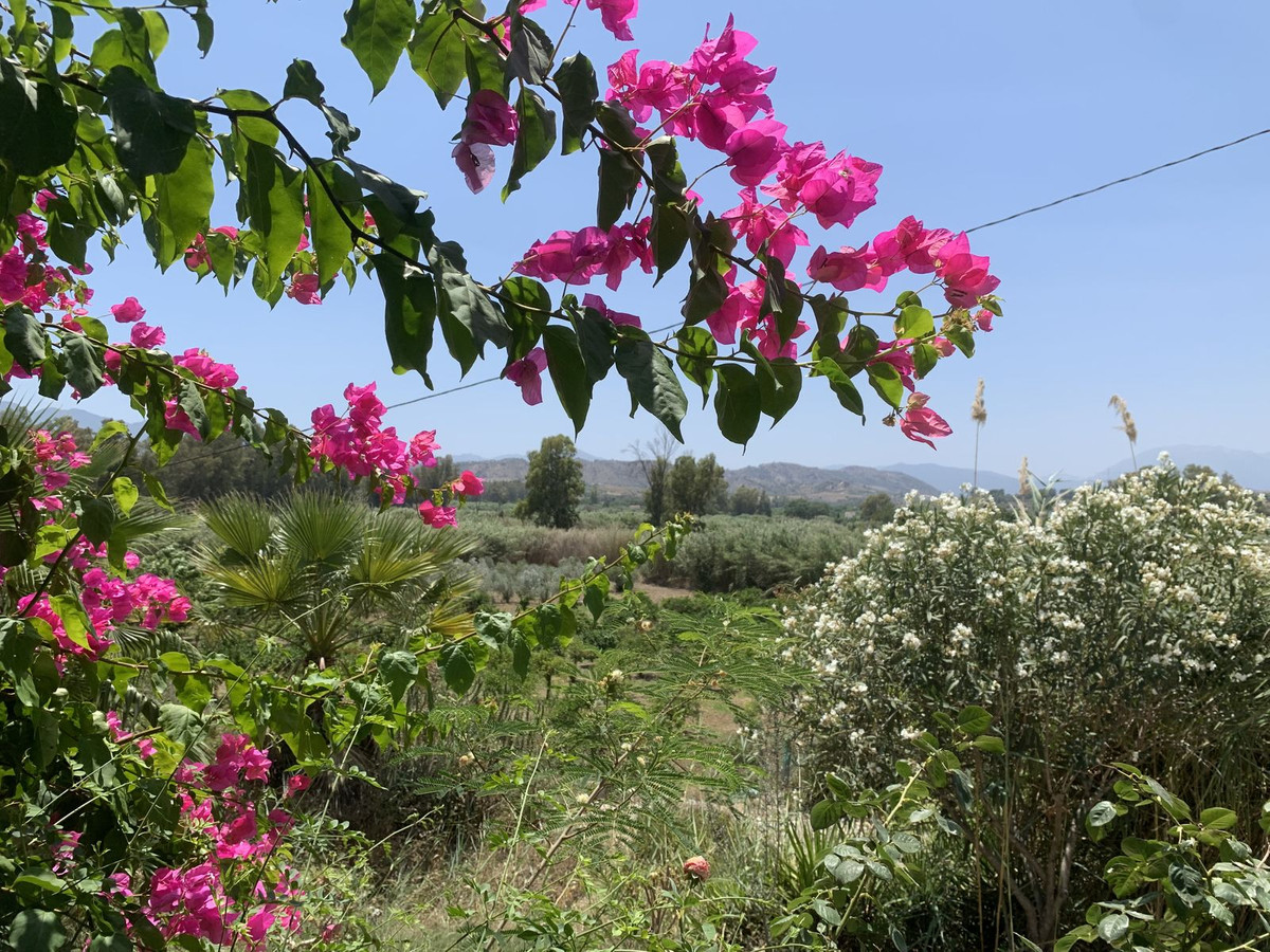 Se vende Terreno Rustico  en Costa Del Sol, Málaga, España