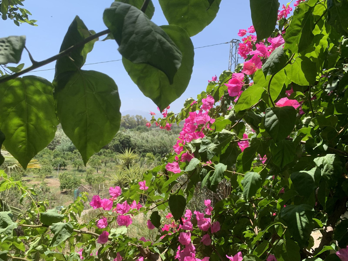 Se vende Terreno Rustico  en Costa Del Sol, Málaga, España