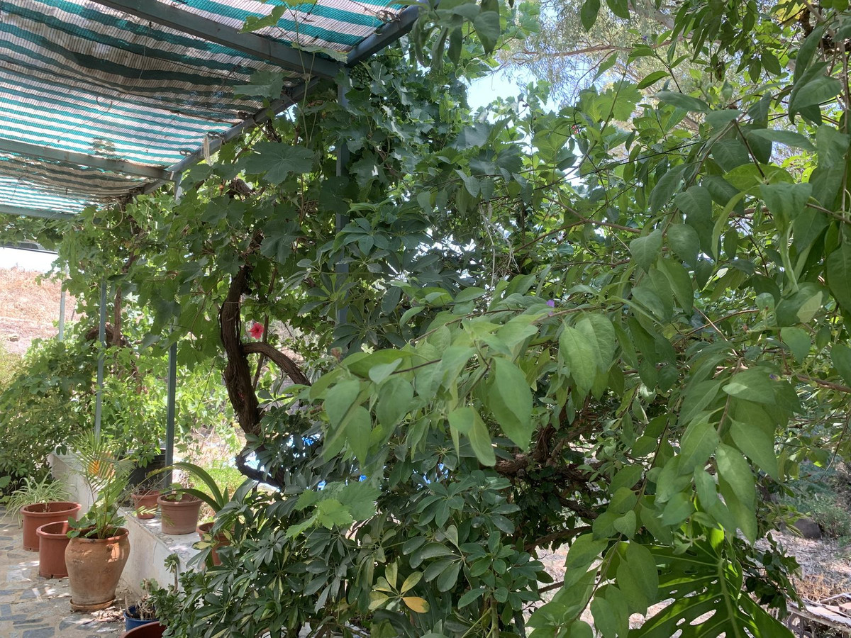 Se vende Terreno Rustico  en Costa Del Sol, Málaga, España