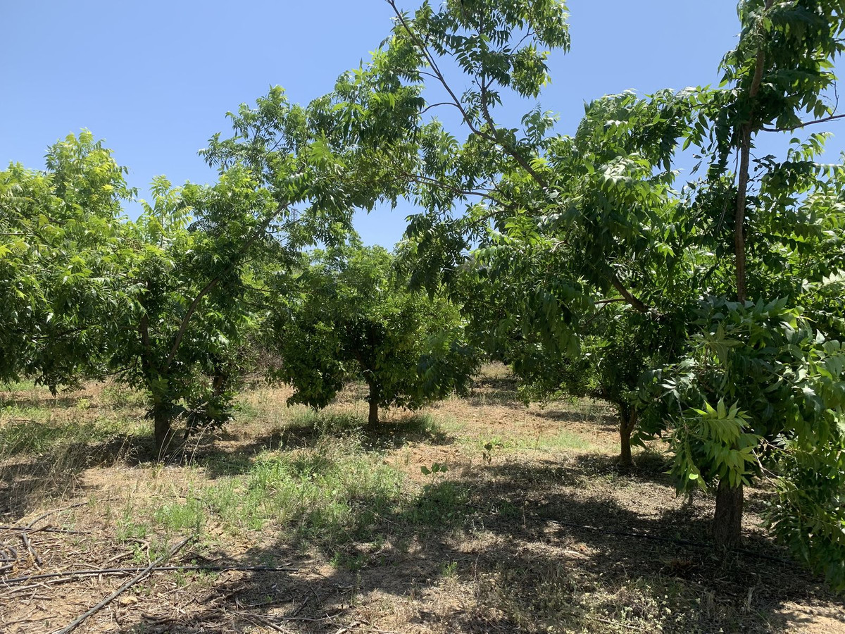 Se vende Terreno Rustico  en Costa Del Sol, Málaga, España