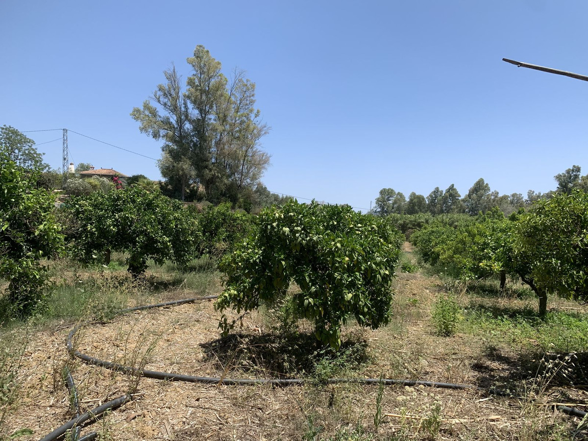 Se vende Terreno Rustico  en Costa Del Sol, Málaga, España