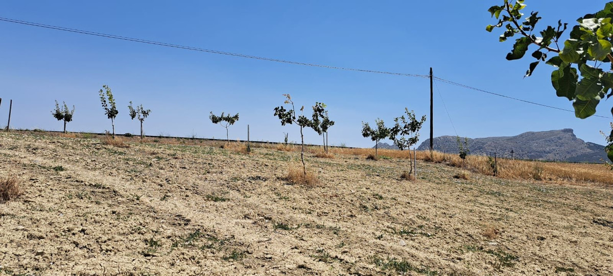 Se vende Terreno Rustico  en Costa Del Sol, Málaga, España