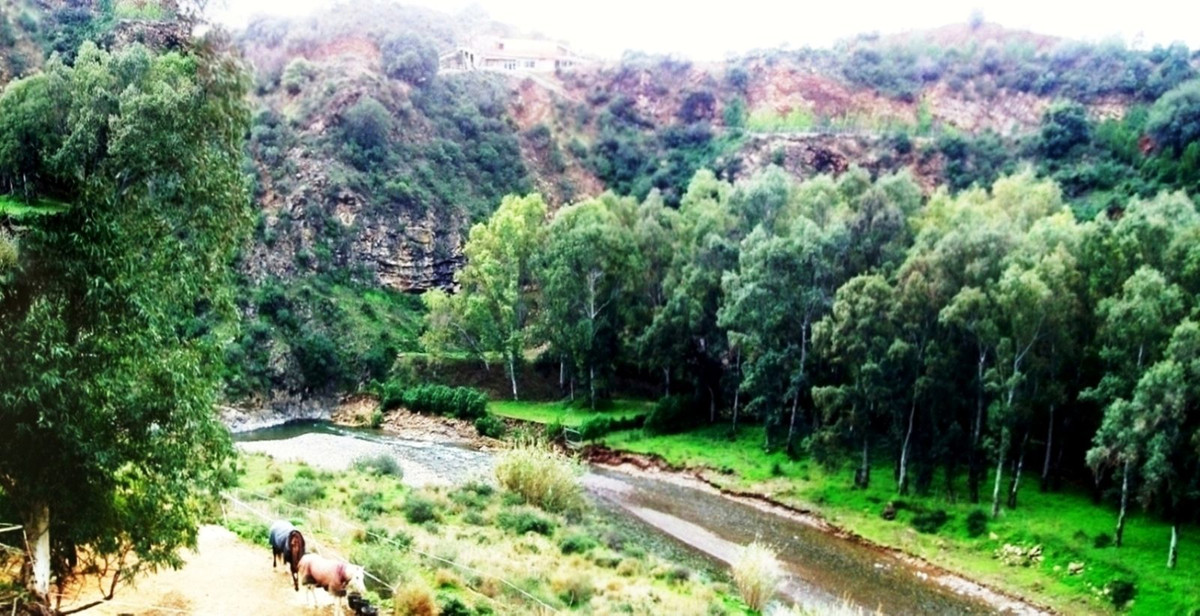 Plots for sale in Entrerrios Málaga, Málaga, Spain