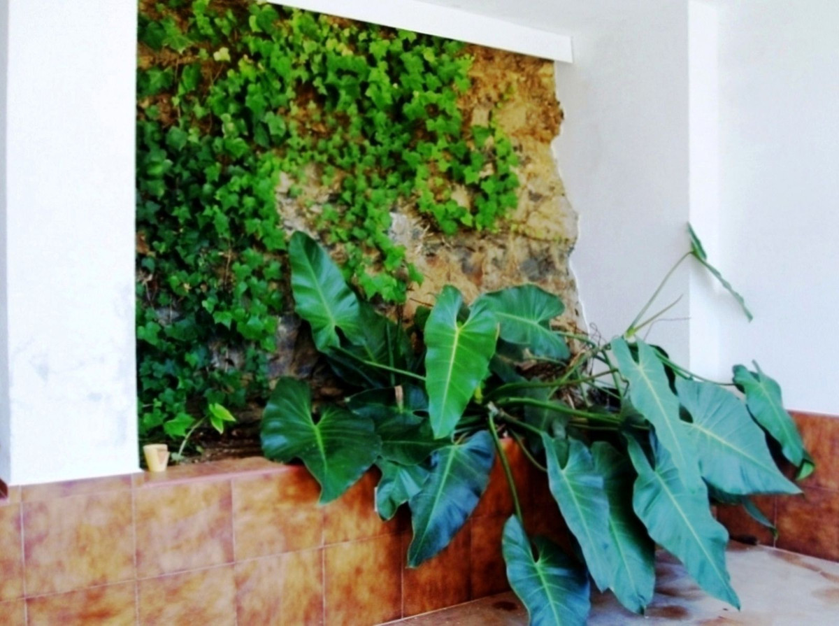 Plots for sale in Entrerrios Málaga, Málaga, Spain