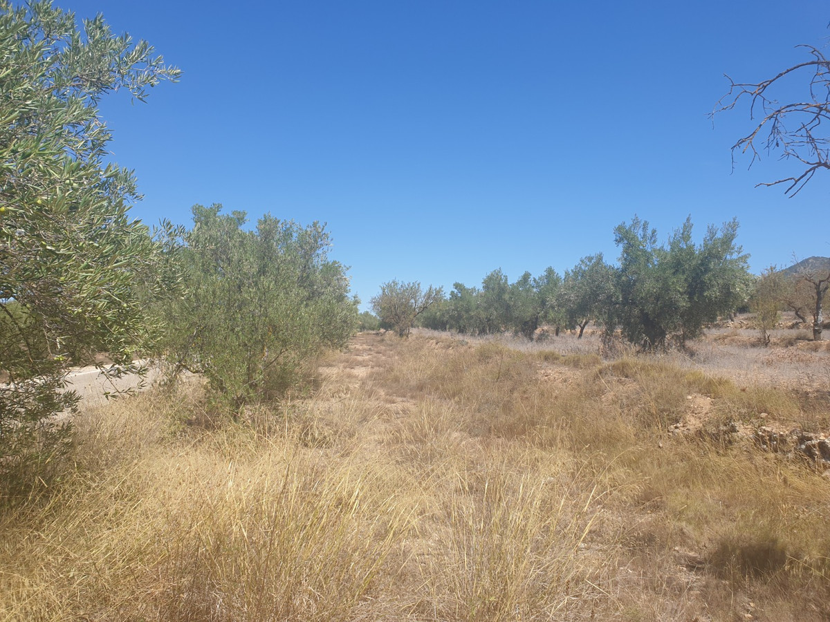 Plots for sale in Biar Costa Blanca, Alicante, Spain
