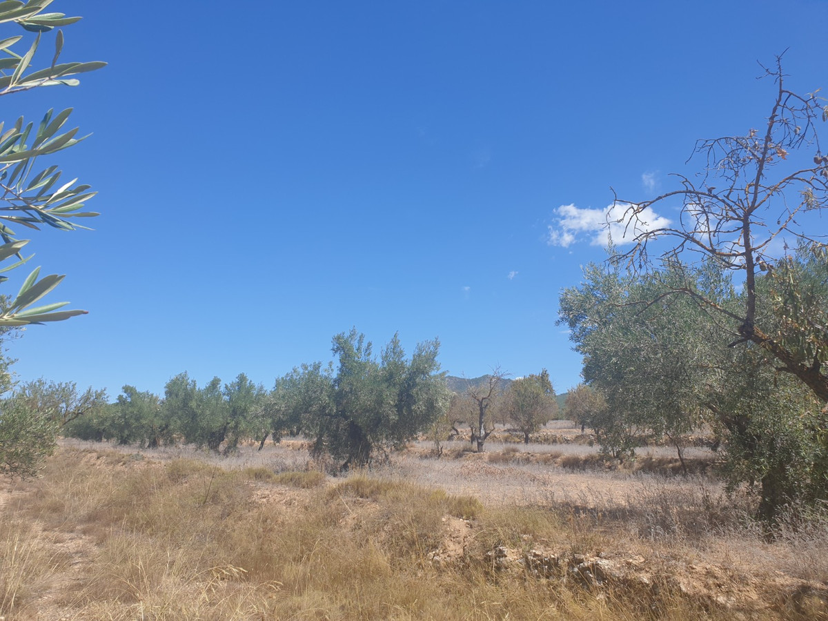 Plots for sale in Biar Costa Blanca, Alicante, Spain