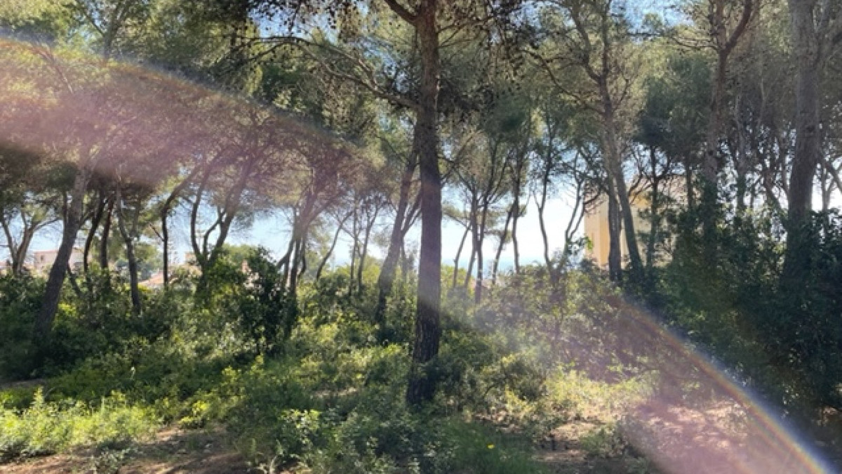 Plots for sale in Javea Costa Blanca, Alicante, Spain