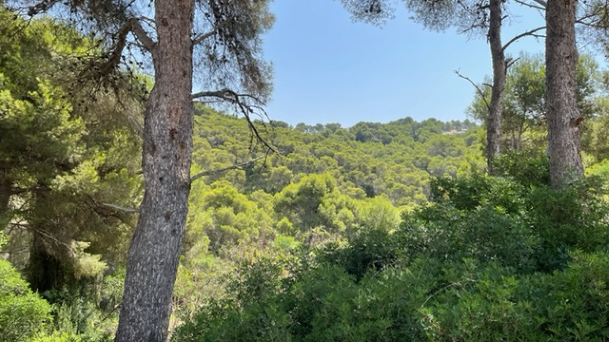 Plots for sale in Javea Costa Blanca, Alicante, Spain