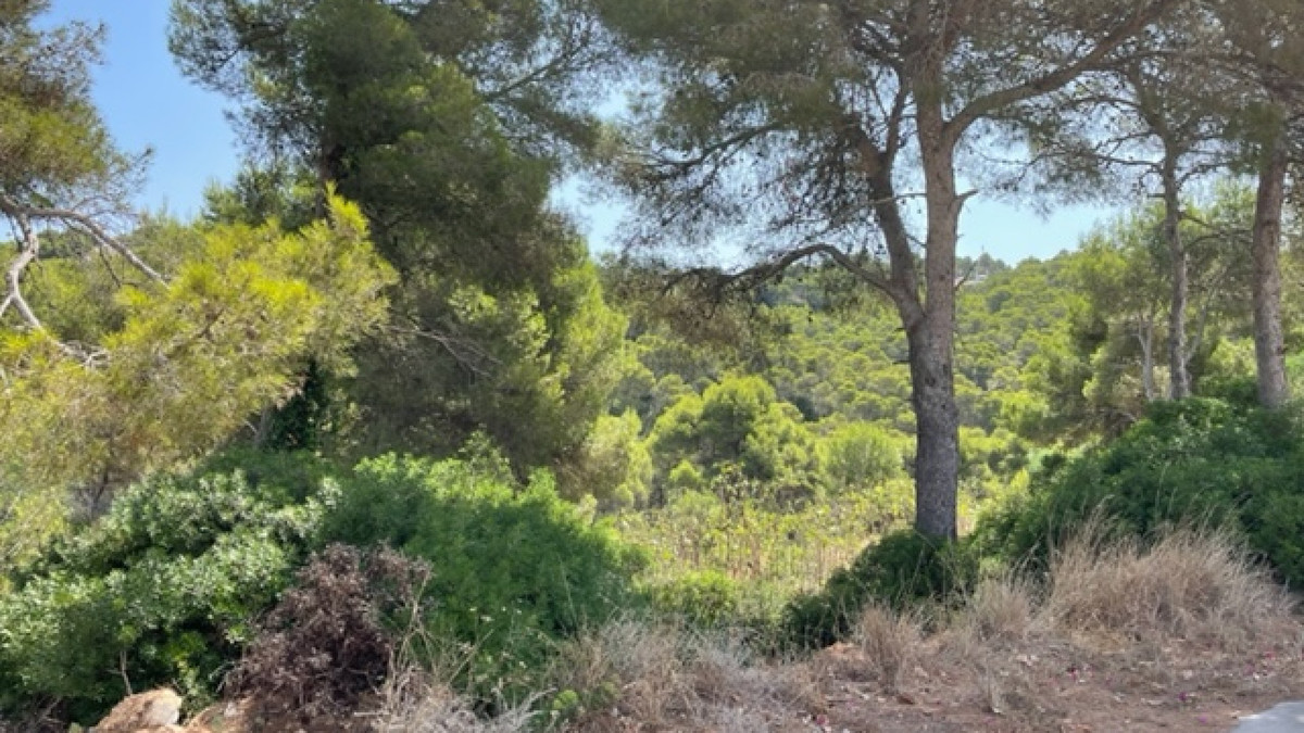 Plots for sale in Javea Costa Blanca, Alicante, Spain