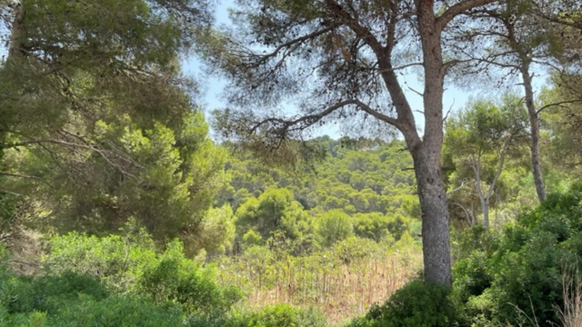 Plots for sale in Javea Costa Blanca, Alicante, Spain