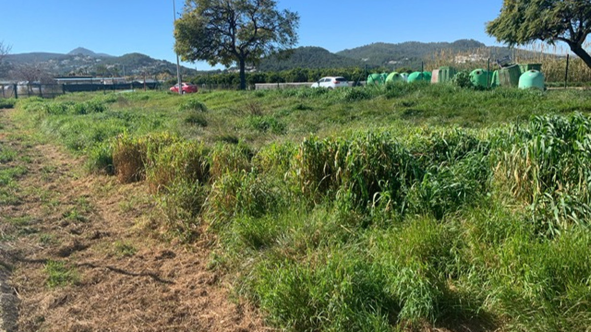 Plots for sale in El Arenal Costa Blanca, Alicante, Spain