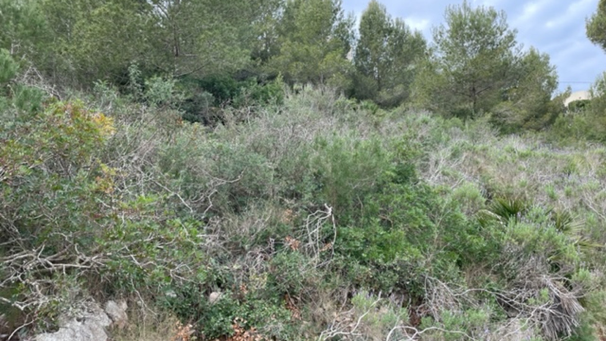 Plots for sale in Javea Costa Blanca, Alicante, Spain