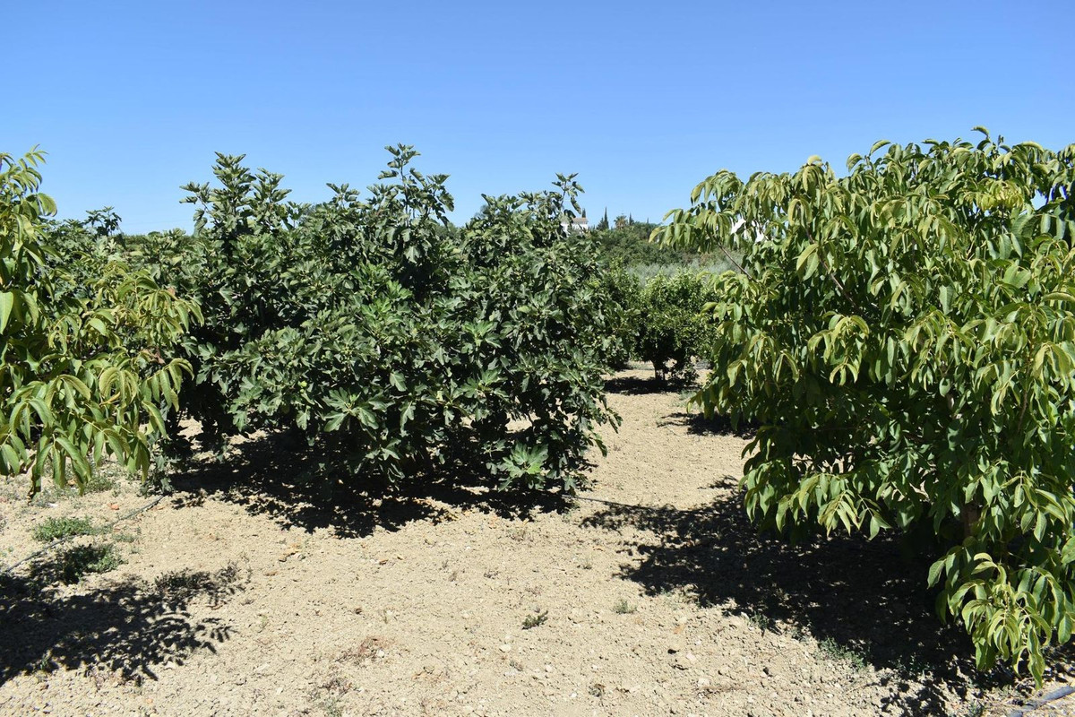 Se vende Finca - Cortijo de 2 dormitorios en Costa Del Sol, Málaga, España