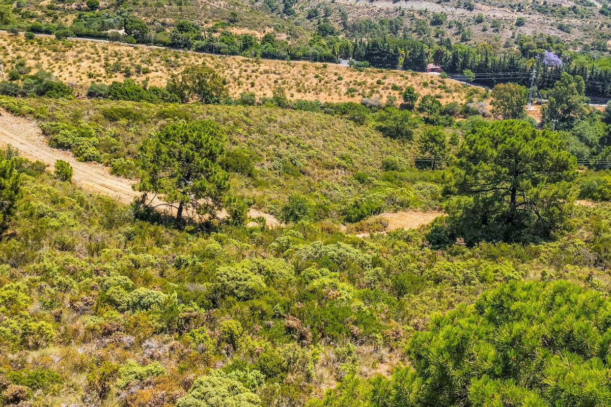 Se vende Terreno Rustico  en Costa Del Sol, Málaga, España