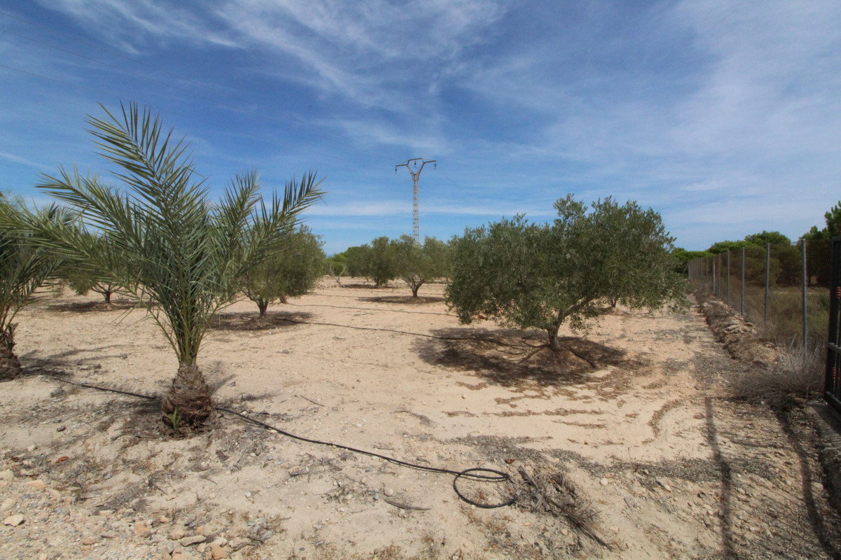 Se vende Terreno Rustico  en Costa Blanca, Alicante, España