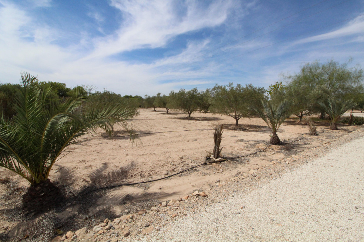 Se vende Terreno Rustico  en Costa Blanca, Alicante, España