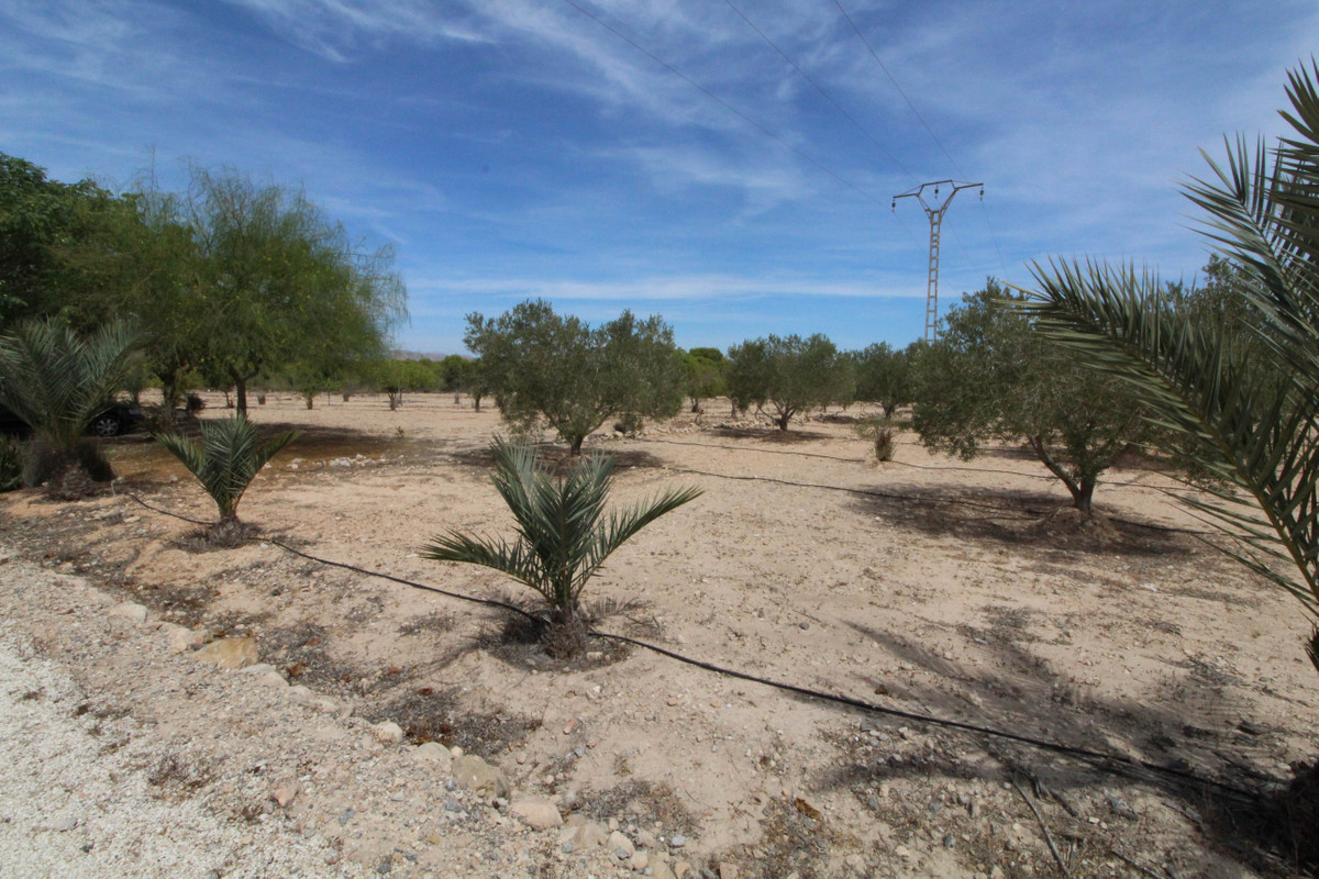 Se vende Terreno Rustico  en Costa Blanca, Alicante, España