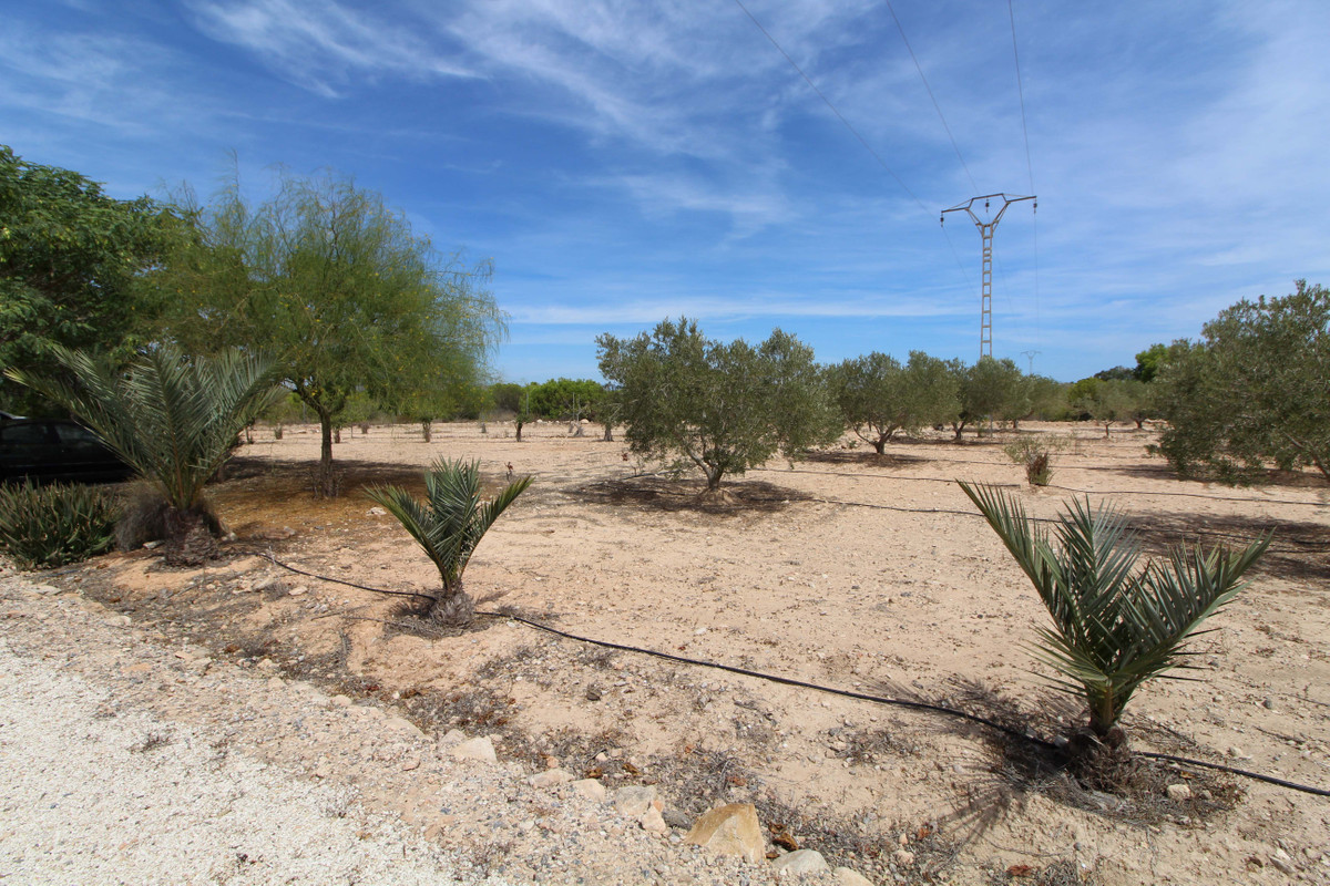 Se vende Terreno Rustico  en Costa Blanca, Alicante, España