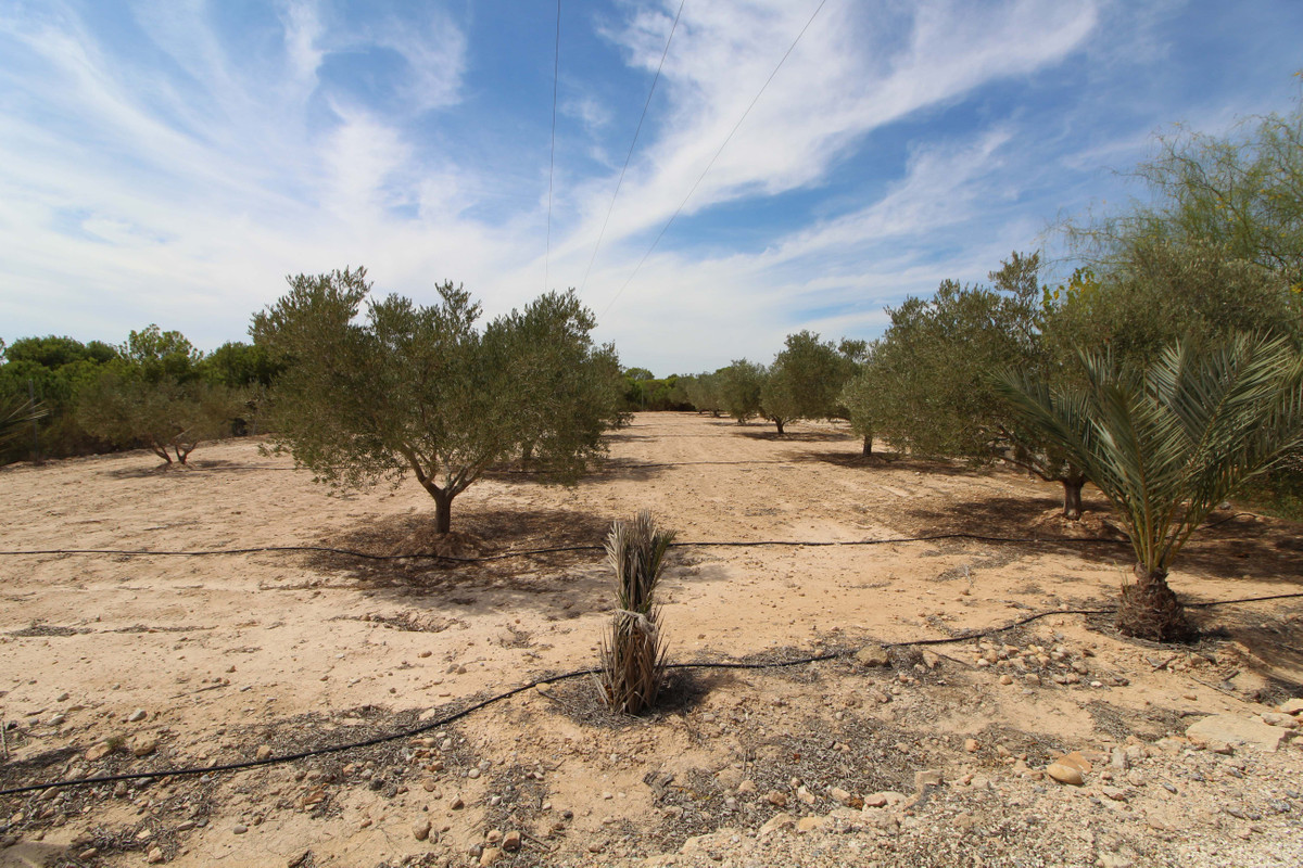 Se vende Terreno Rustico  en Costa Blanca, Alicante, España