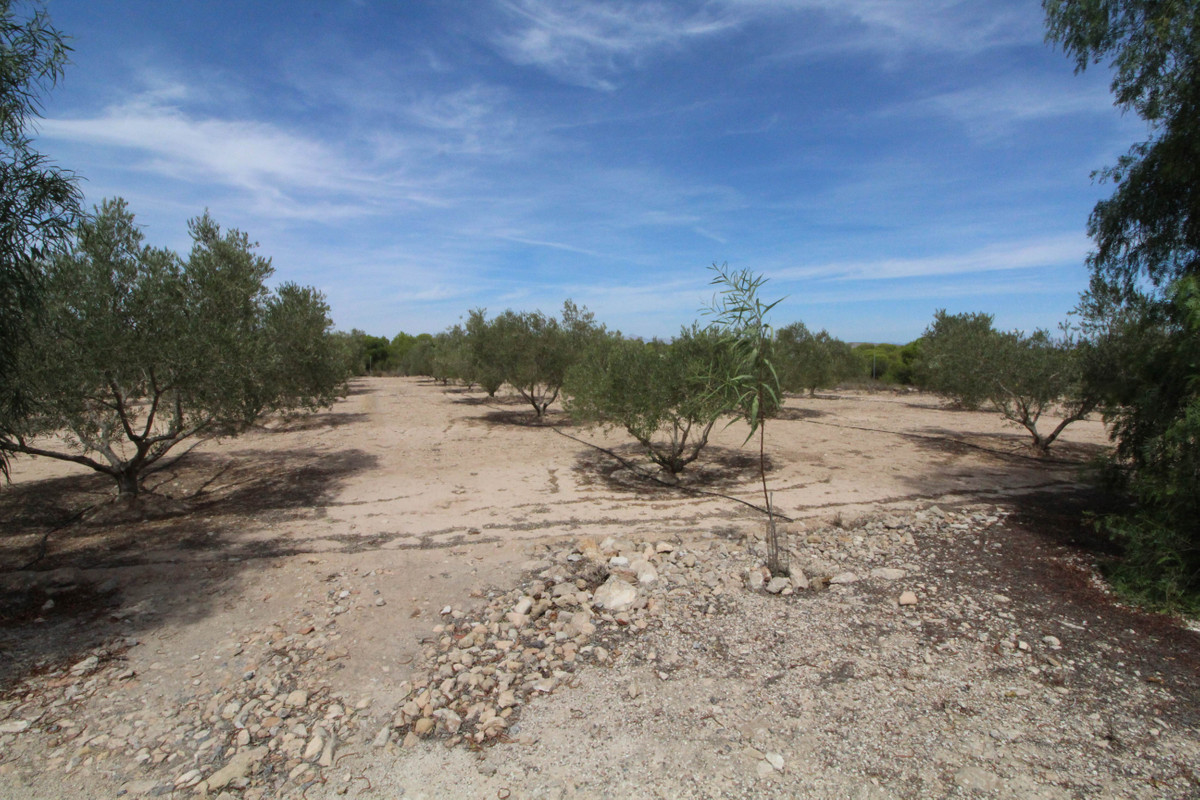 Se vende Terreno Rustico  en Costa Blanca, Alicante, España
