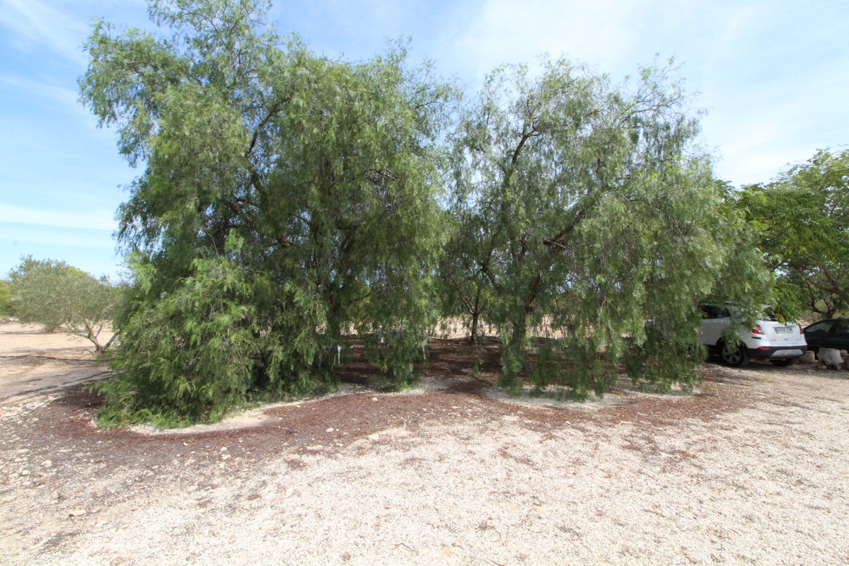 Se vende Terreno Rustico  en Costa Blanca, Alicante, España