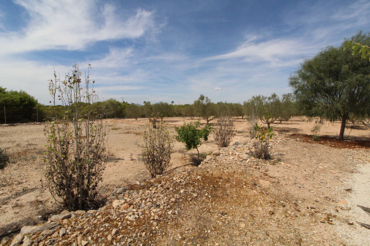 Se vende Terreno Rustico  en Costa Blanca, Alicante, España