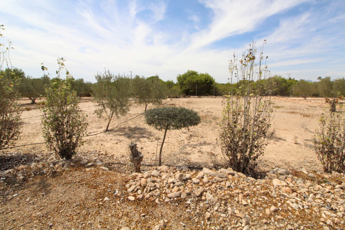 Se vende Terreno Rustico  en Costa Blanca, Alicante, España