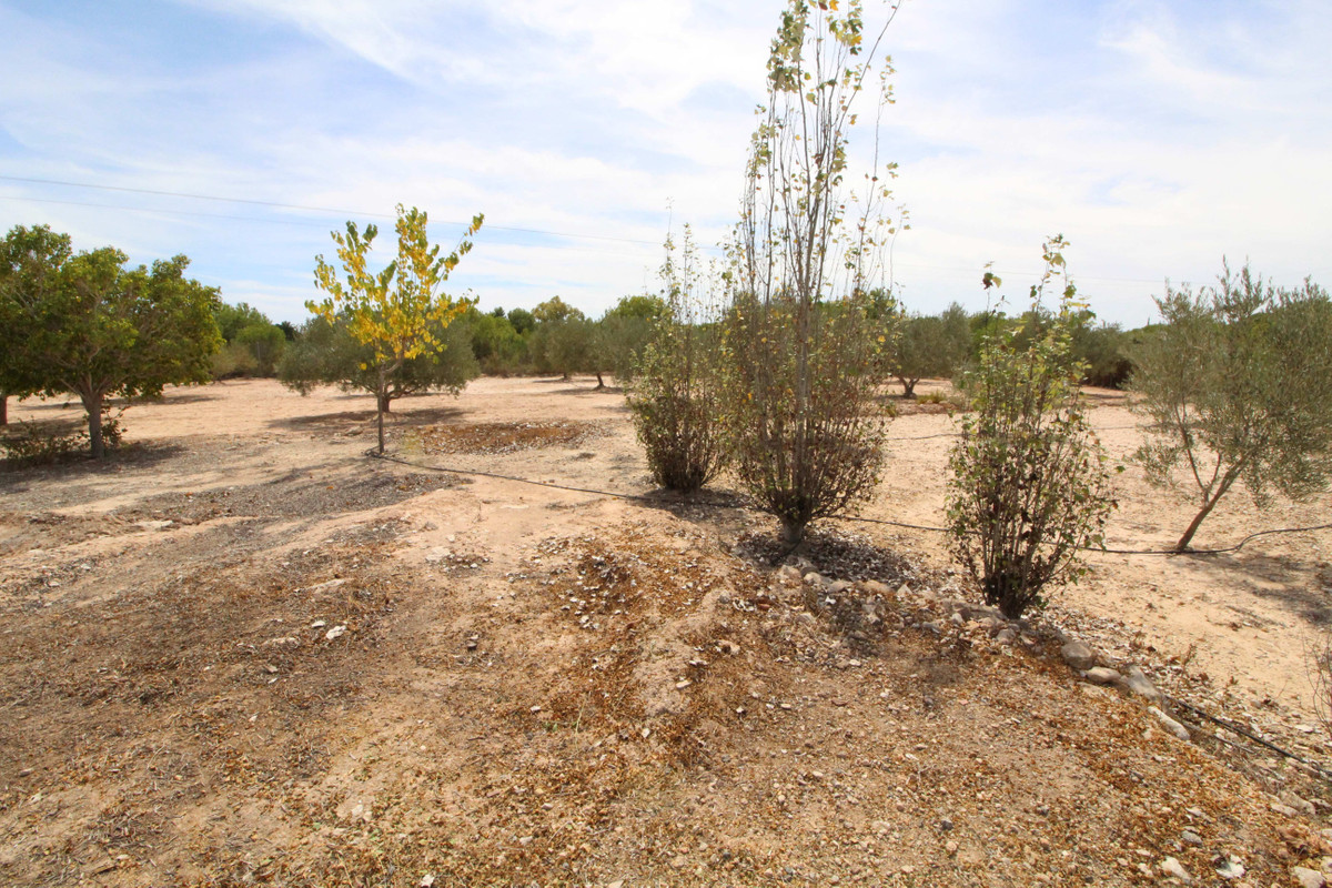 Se vende Terreno Rustico  en Costa Blanca, Alicante, España