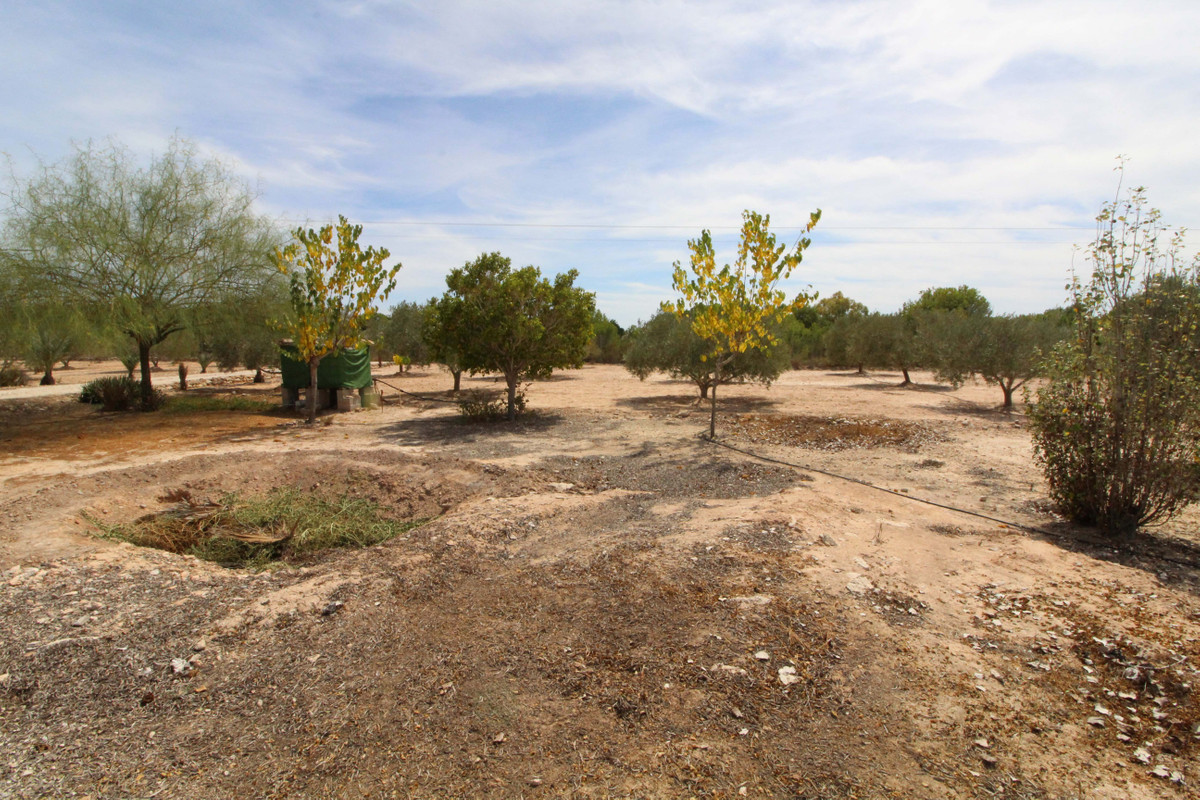 Se vende Terreno Rustico  en Costa Blanca, Alicante, España