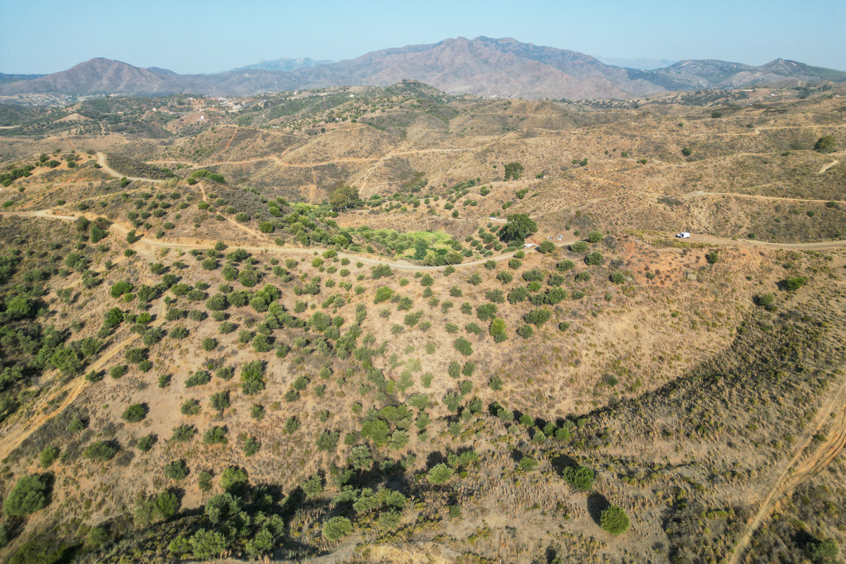 Se vende Terreno Rustico  en Costa Del Sol, Málaga, España