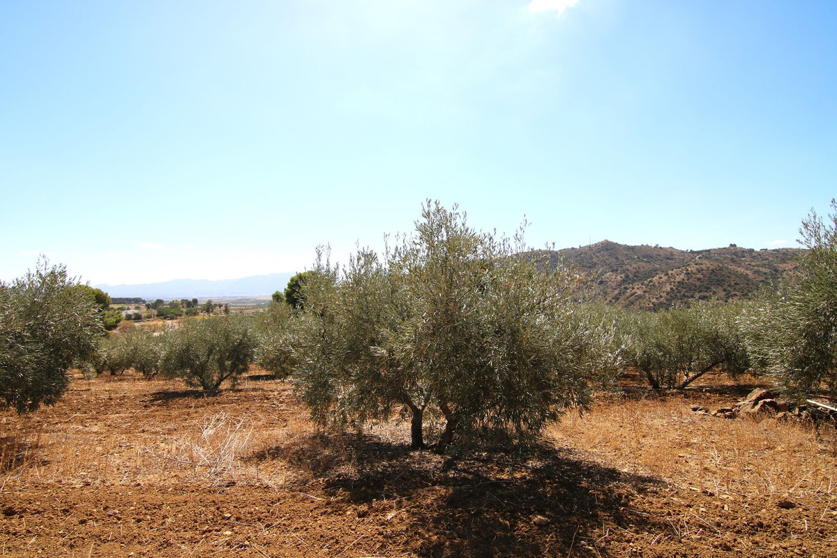 Se vende Terreno Rustico  en Costa Del Sol, Málaga, España