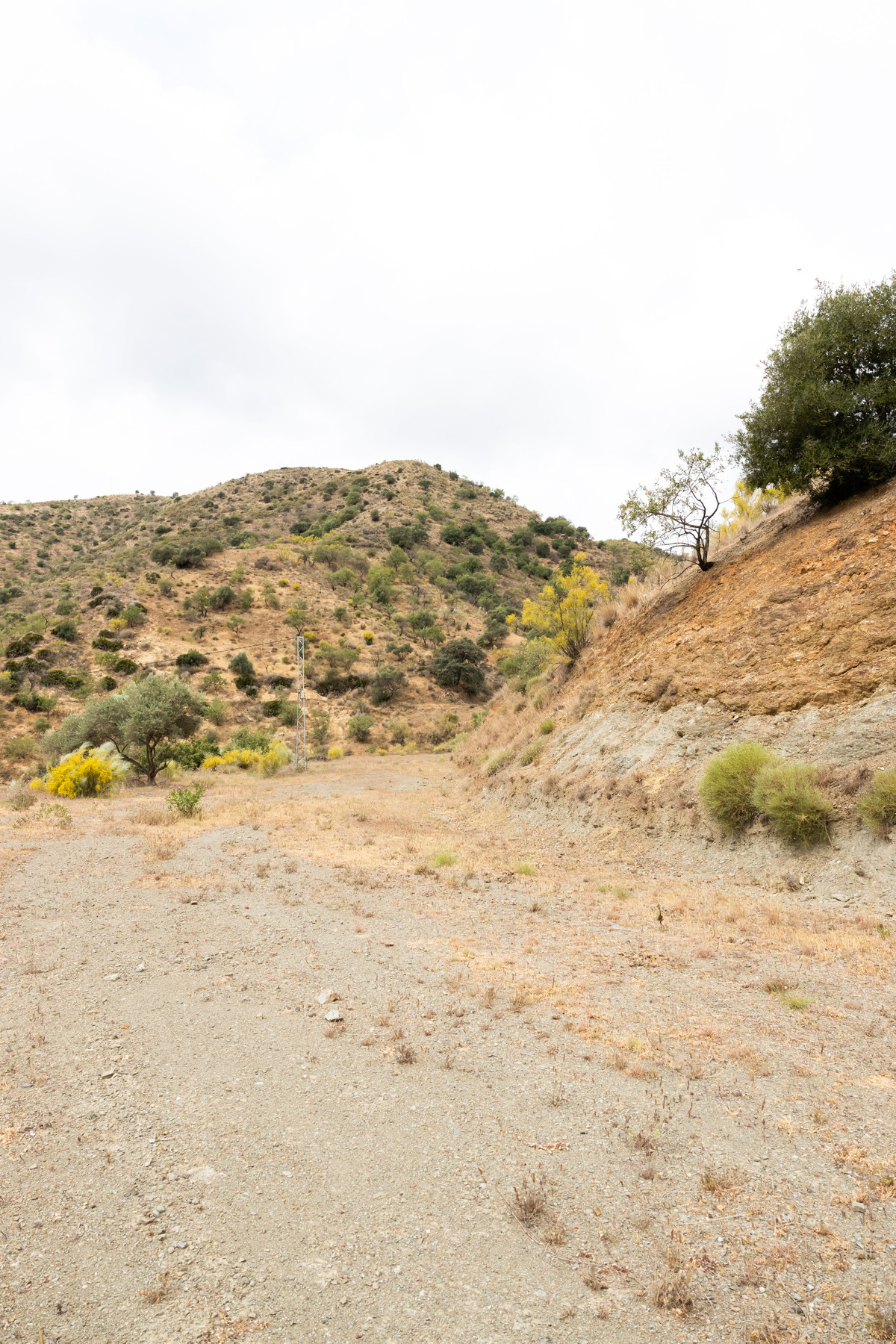 Plots for sale in Estacion De Cartama Costa Del Sol, Málaga, Spain