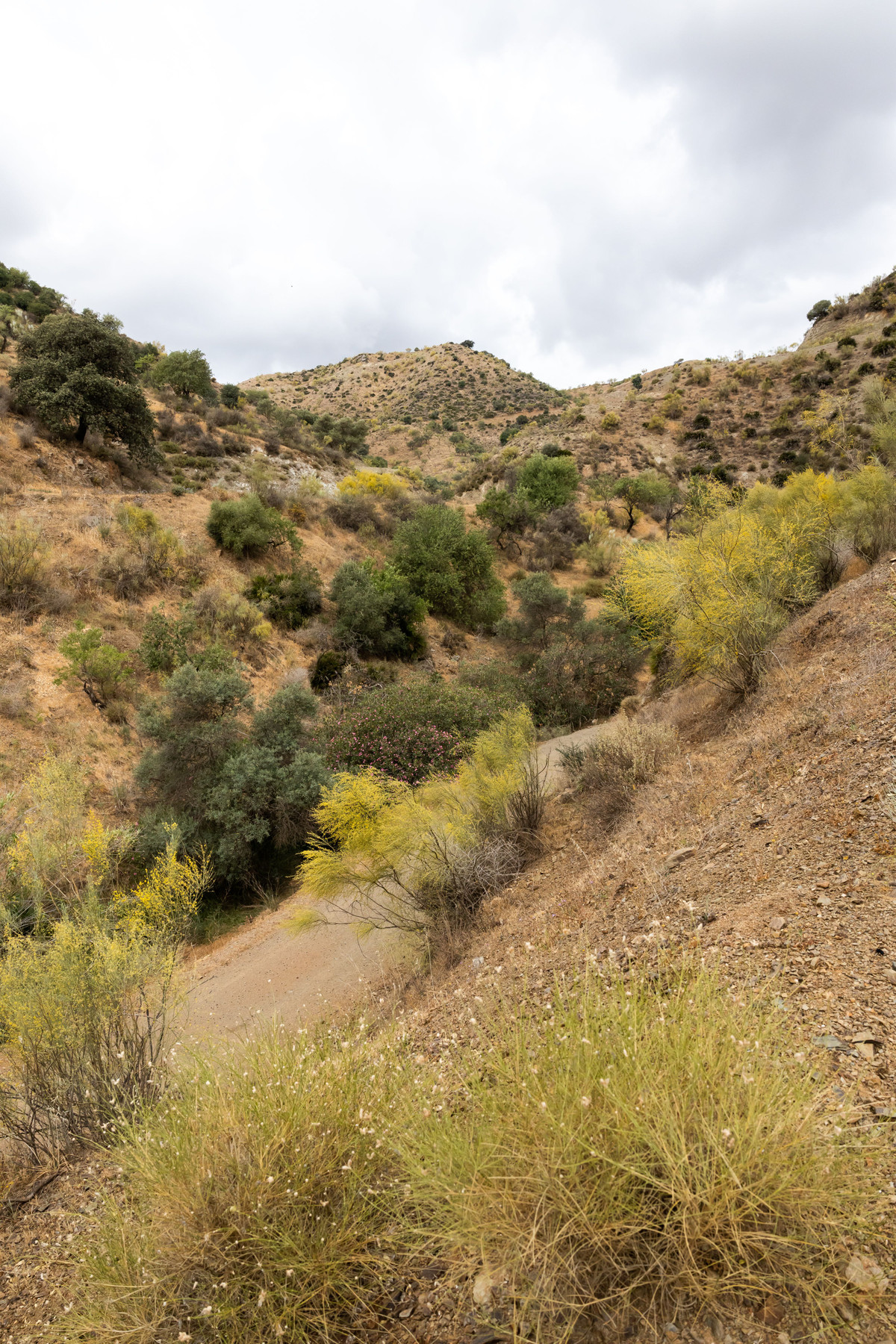 Plots for sale in Estacion De Cartama Costa Del Sol, Málaga, Spain