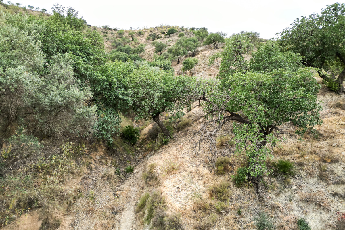 Plots for sale in Estacion De Cartama Costa Del Sol, Málaga, Spain