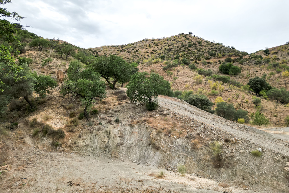 Plots for sale in Estacion De Cartama Costa Del Sol, Málaga, Spain