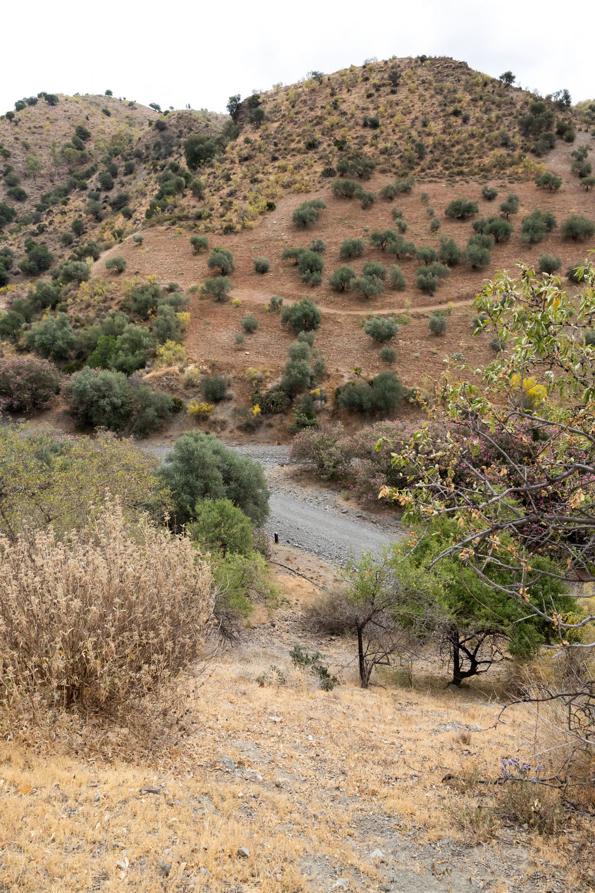 Plots for sale in Estacion De Cartama Costa Del Sol, Málaga, Spain