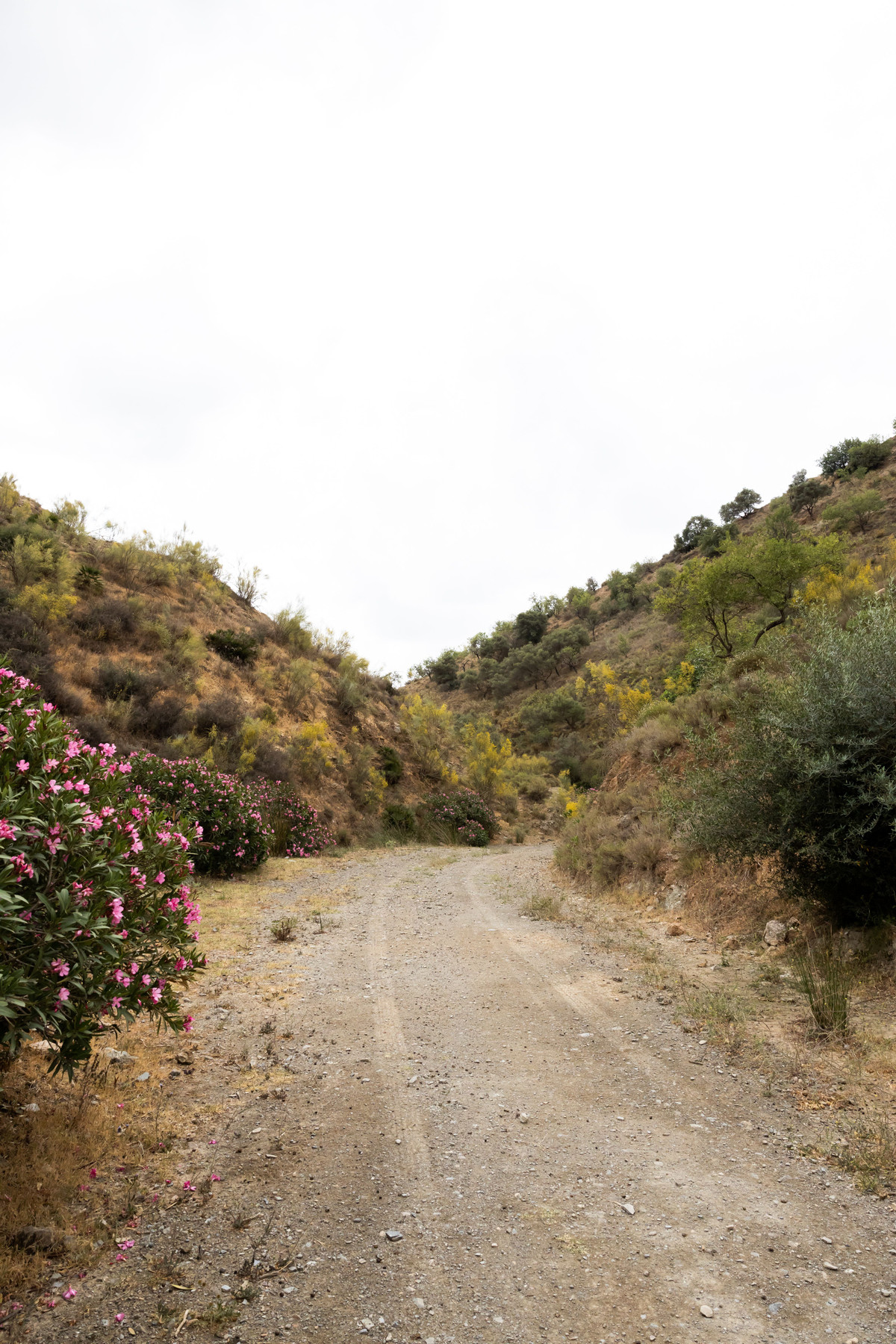 Plots for sale in Estacion De Cartama Costa Del Sol, Málaga, Spain