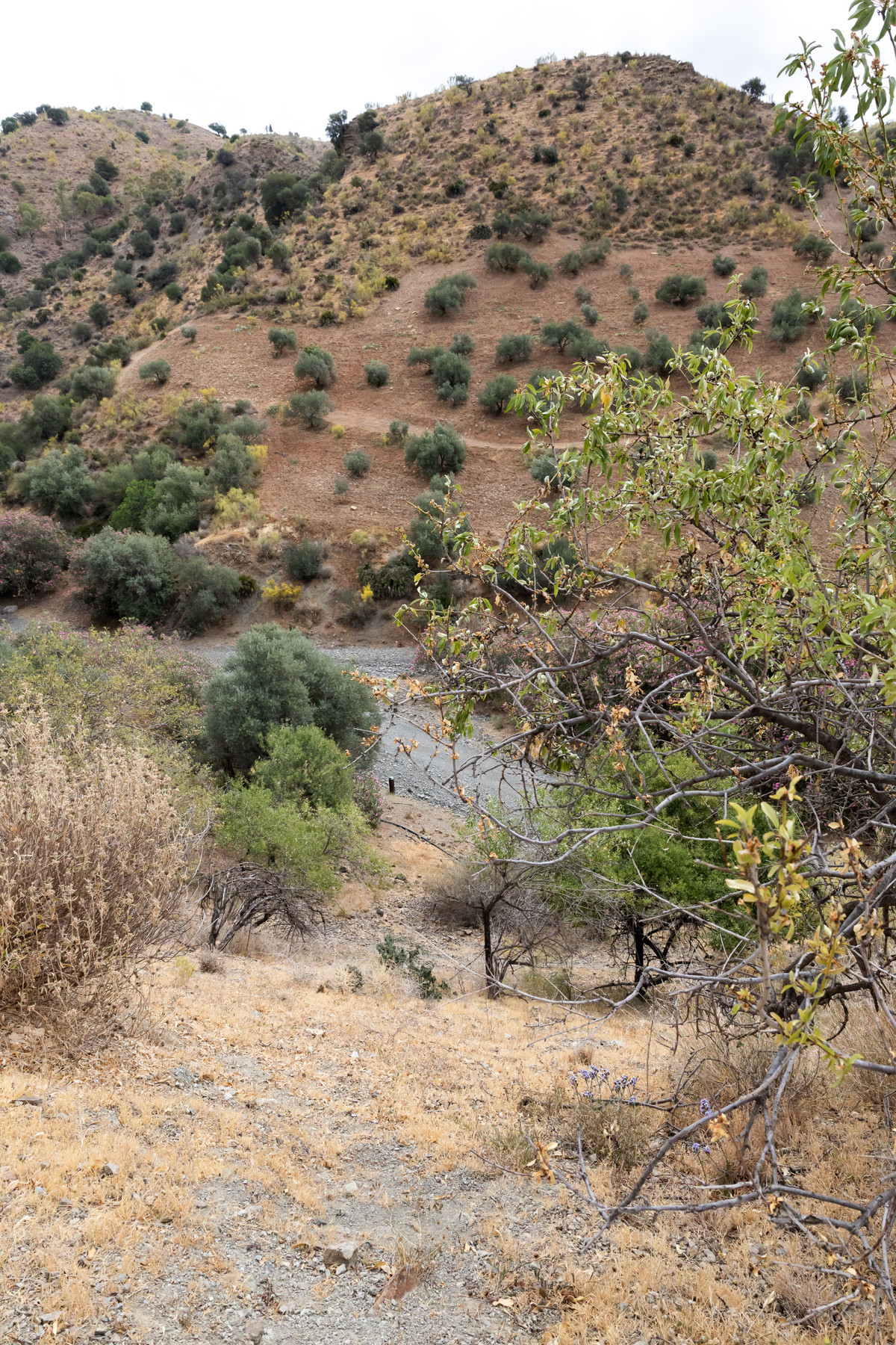 Plots for sale in Estacion De Cartama Costa Del Sol, Málaga, Spain